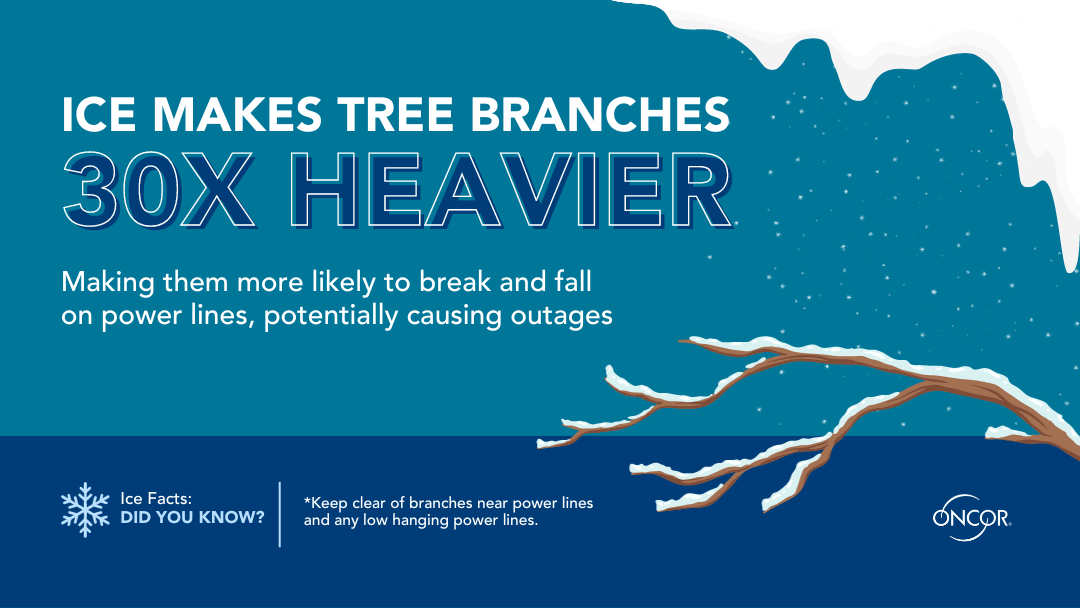 Oncor Investor Relations