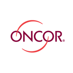 AREA MANAGER HEADSHOTS (250 x 250 px) - 12