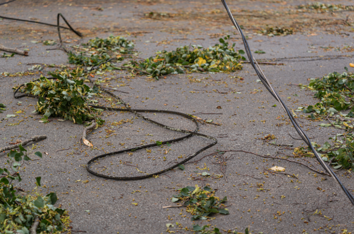 Power Line Safety