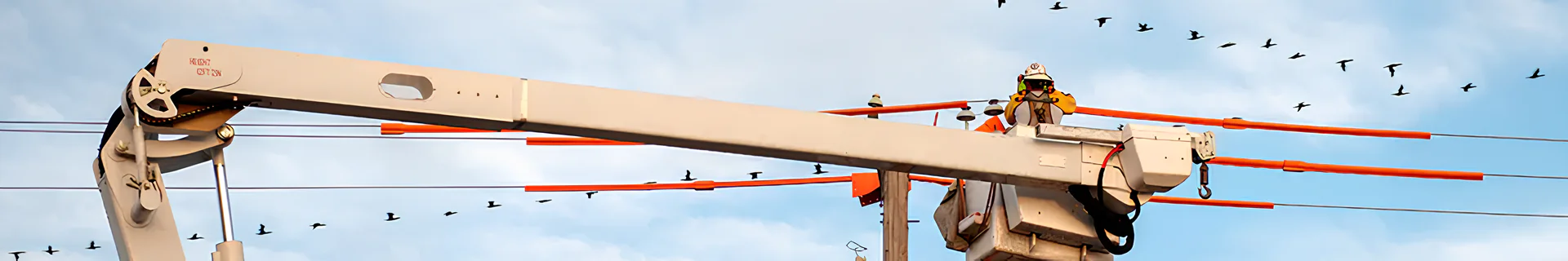 ELECTRIC DISTRIBUTION SYSTEM Banner Image