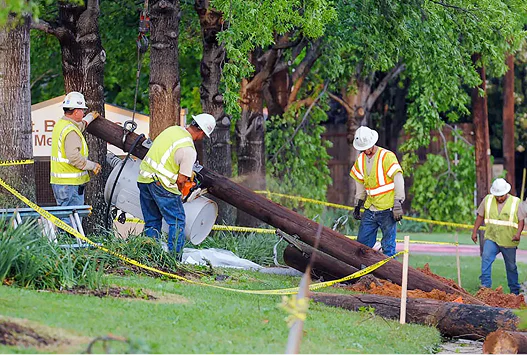 Trees and Power Outages
