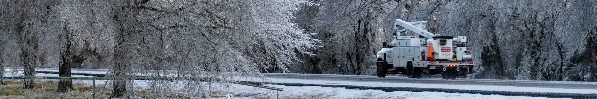 STORM CENTER Banner Image