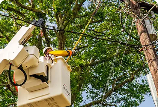 How Transmission Power Line Projects Work