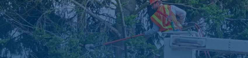 Vegetation management routine maintanence work