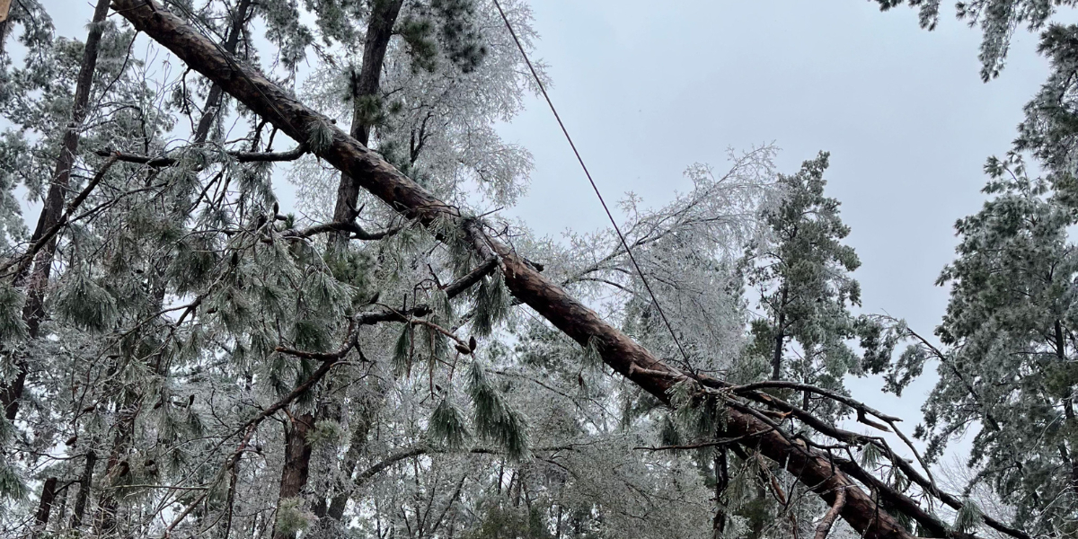 click to opens an article hero image