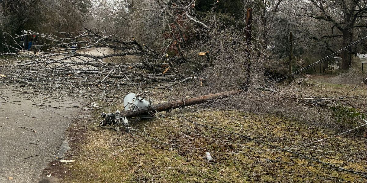 click to opens an article hero image