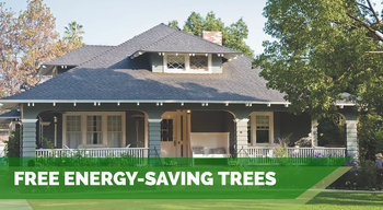 Oncor Article Image