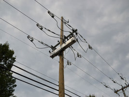 Oncor Article Image