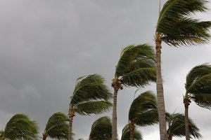 Oncor Article Image