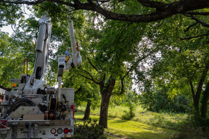 Oncor Article Image