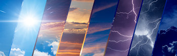 Oncor Article Image